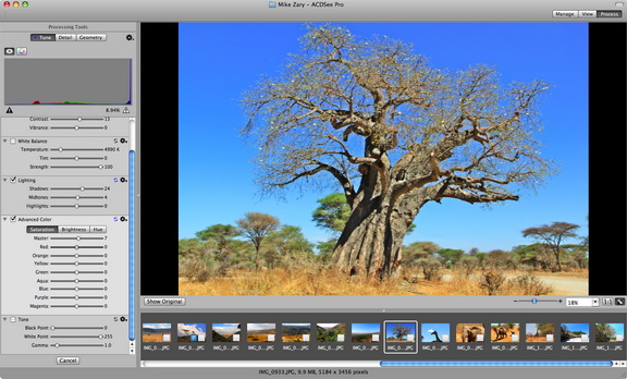 acdsee Pro 2 (mac)