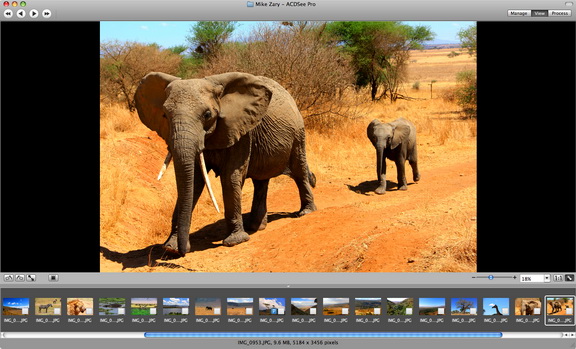 acdsee Pro 2 (mac)